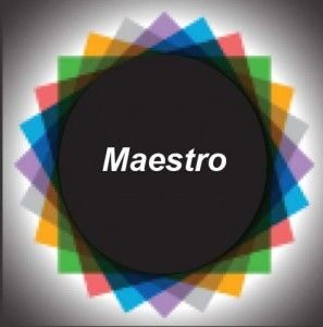 Maestro-DG-16-Logo-297x300